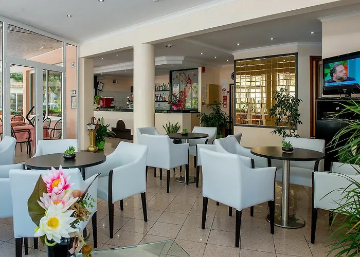 Hotel City 酒店 米萨诺阿德里亚蒂科